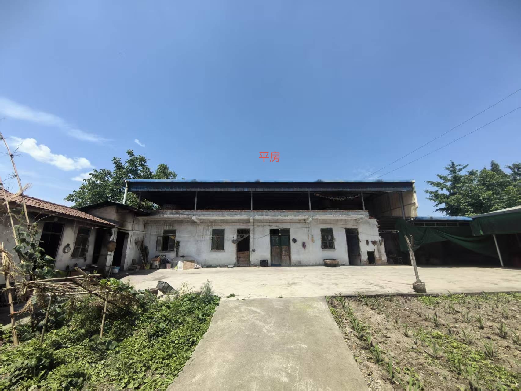 房型-平房2